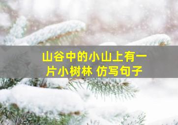 山谷中的小山上有一片小树林 仿写句子